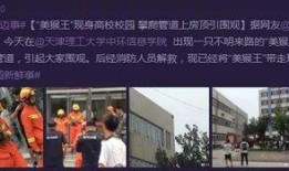 天津高校爆料新闻,揭秘校园风云事件