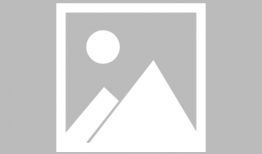 在线观看夺命手机